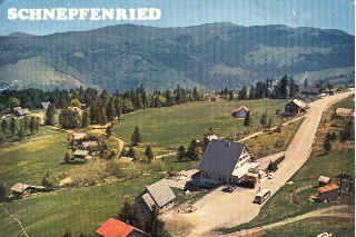 Alte Postkarte vom Schnepfenried
