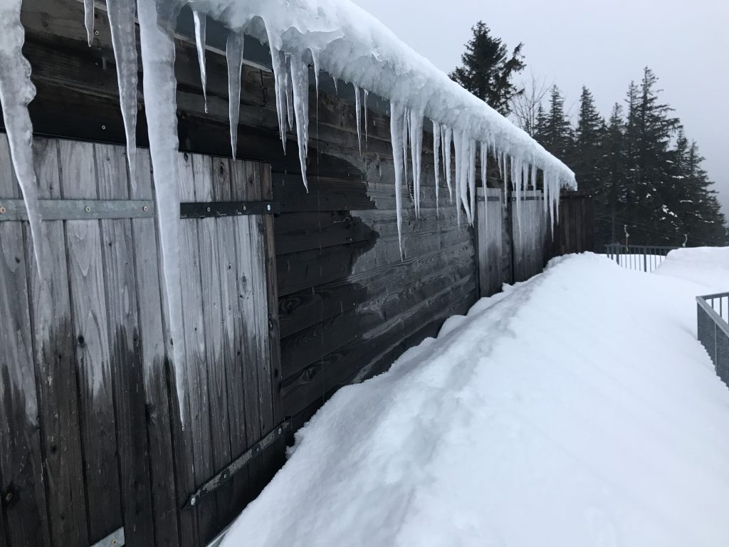 Die Skihütte des Ski-Club Pirmasens